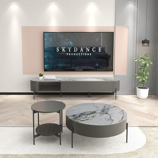 顾家家居整装 现代简约 茶几角几电视柜餐台餐椅 PT2067系列 商品图4