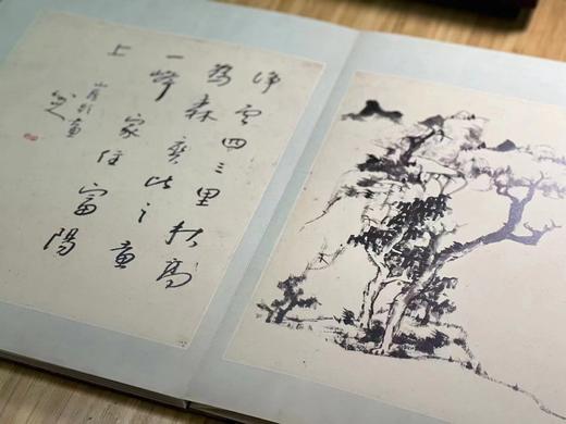 《八大山人山水册》，胡弘杰 编，绸面，经折装开本：787mm×1092mm， 6开，西泠印社出版社2023年7月一版一印。定价360，售价280元。 商品图4