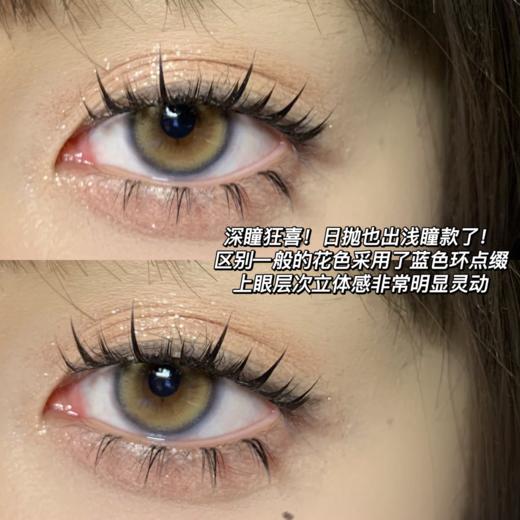 Bollycon日抛新品-Davinci达芬奇 商品图3