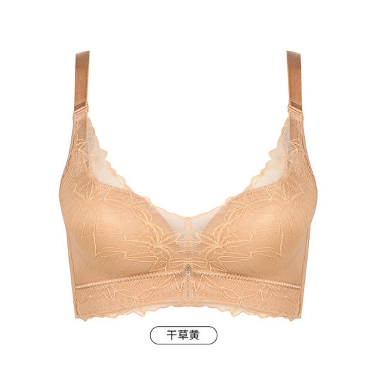 都市丽人舒软挺塑AB杯适穿蕾丝调整型文胸中厚款3/4杯塑身文胸无钢圈内衣四排扣LJ34H3 商品图4