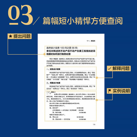 政府会计实务100问 财务工作者高校财务专业政府会计准则制度学习参考日常问题查询用书 实操答疑书 解决日常工作中的问题 商品图4