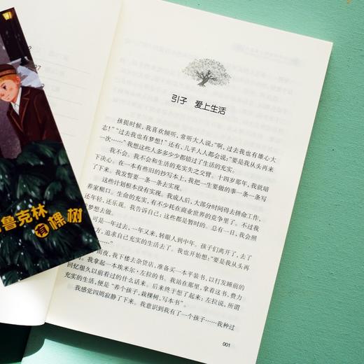 《布鲁克林有棵树》（青少版） 商品图6