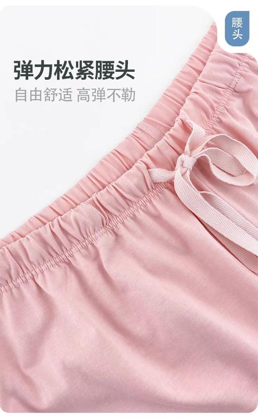 （清凉组合，回馈价，不退换）SCHIESSER德国舒雅女士夏日凉爽系列（实体店实拍)粘纤短裤 纯棉短裤组合装 31/22382P 31/22412P 31/22382P 商品图3