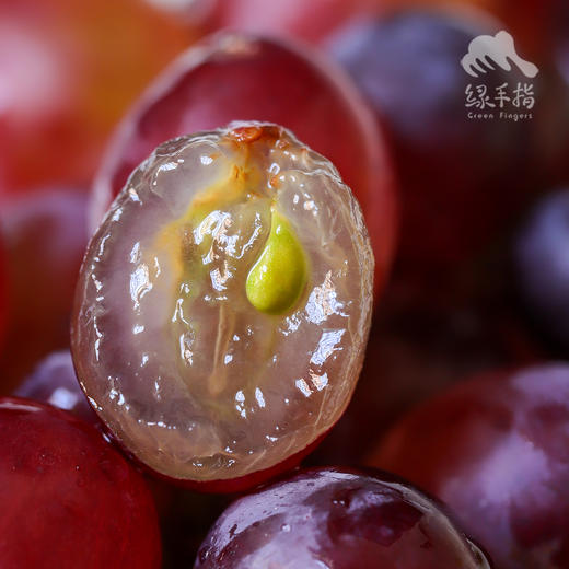 生态葡萄 | 合作生产 * Ecological Grapes | Coproduction 商品图3