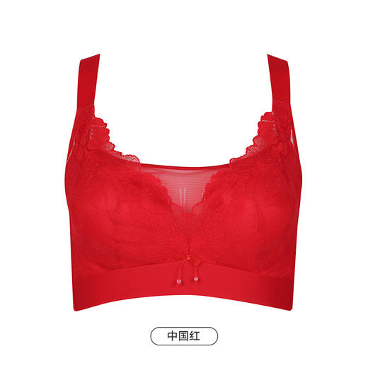 都市丽人舒软挺塑BC杯适穿蕾丝调整型文胸薄款3/4杯塑身文胸无钢圈内衣五排扣新年本命年红品LJ32K5 商品图11