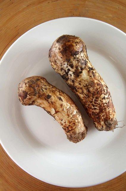 【2025松茸季】【顺丰空运】香格里拉野生松茸出口一级  基地直邮 商品图0