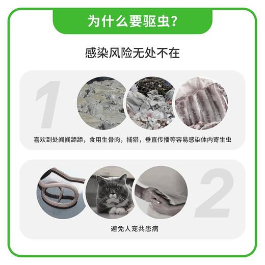 【德国拜耳】拜宠清猫体内驱虫药绦虫蛔虫线虫猫咪打虫药 商品图3