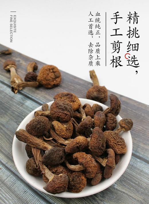 长白山的“小仙菇”【野生榛蘑】来自东北的“山珍” 纯手工分拣 滑嫩爽口 味道鲜美 营养丰富 商品图1