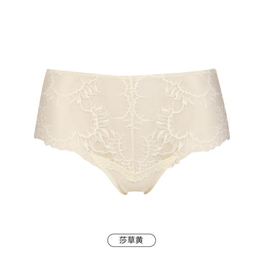 都市丽人舒软挺塑网纱面料中腰平角女士内裤LP39M2 商品图4