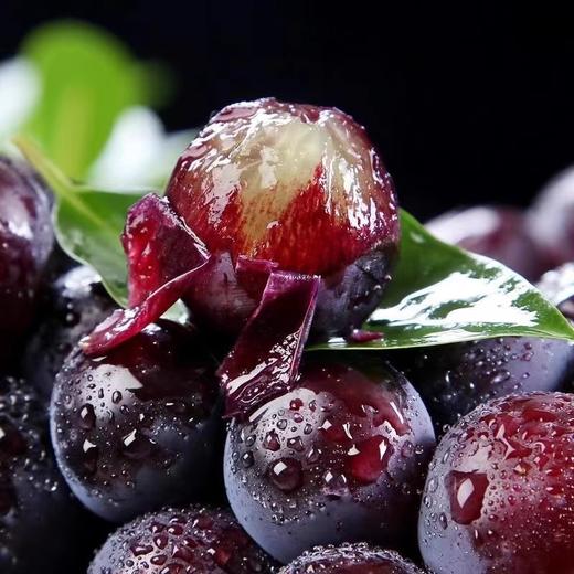 【十堰主城区包邮】新鲜水果  六里坪夏黑葡萄4斤装 商品图3