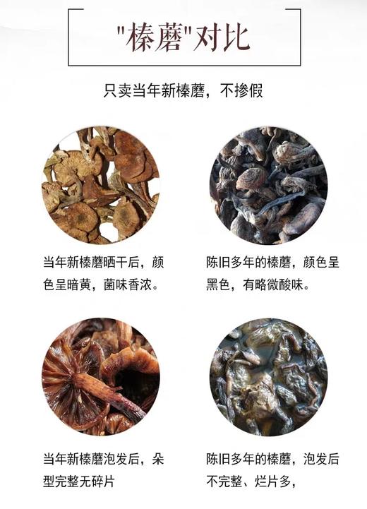 长白山的“小仙菇”【野生榛蘑】来自东北的“山珍” 纯手工分拣 滑嫩爽口 味道鲜美 营养丰富 商品图4