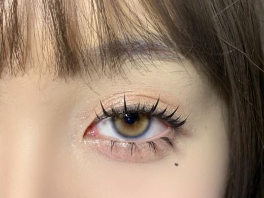 Bollycon日抛新品-Davinci达芬奇 商品图7