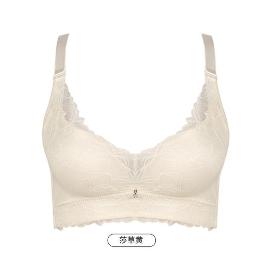 都市丽人舒软挺塑AB杯适穿蕾丝调整型文胸中厚款3/4杯塑身文胸无钢圈内衣四排扣LJ34H3 商品图3