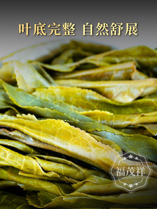 【大户赛】大户赛签约茶农共同出品 2019年头春普洱茶临沧茶区大户赛5年陈生茶 古300年纯料茶 200g饼茶 商品图5