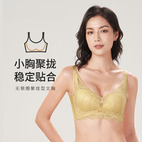 都市丽人舒软挺塑AB杯适穿蕾丝调整型文胸两种厚度3/4杯塑身文胸无钢圈内衣四排扣LJ31M2