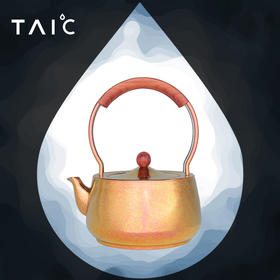 【TAIC 太可】纯钛壶（单层 1000ml）