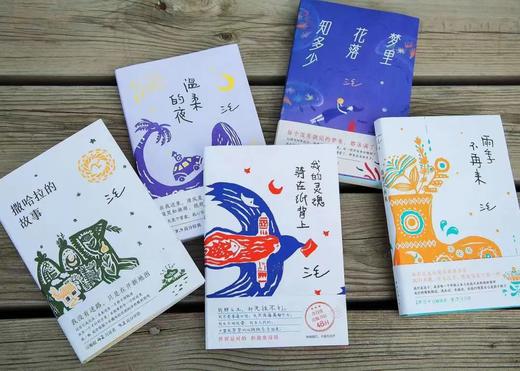 【华语世界永恒的传奇】《三毛作品集》（典藏版5册）| 人生是旷野，不是轨道，看见一个温暖、善意、真实的三毛 商品图12