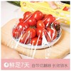 佳能GLAD刀切手撕保鲜膜食品级保鲜纸一次性家用厨房带切割盒装耐高温微波炉冰箱食品水果蔬菜 商品缩略图2