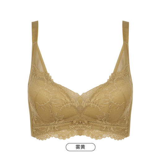 都市丽人舒软挺塑AB杯适穿蕾丝调整型文胸两种厚度3/4杯塑身文胸无钢圈内衣四排扣LJ31M2 商品图5