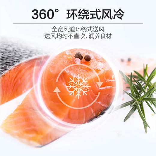 海尔（Haier）467升彩晶一级双变频风冷无霜十字双开门三档变温超薄厨装一体冰箱BCD-467WGHTD5DSN 商品图4