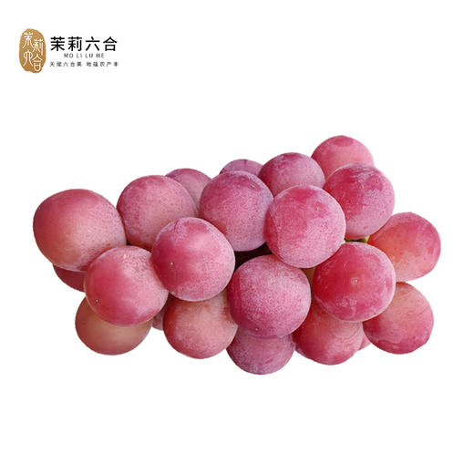 【预售】妮娜皇后葡萄5斤 线上 商品图0