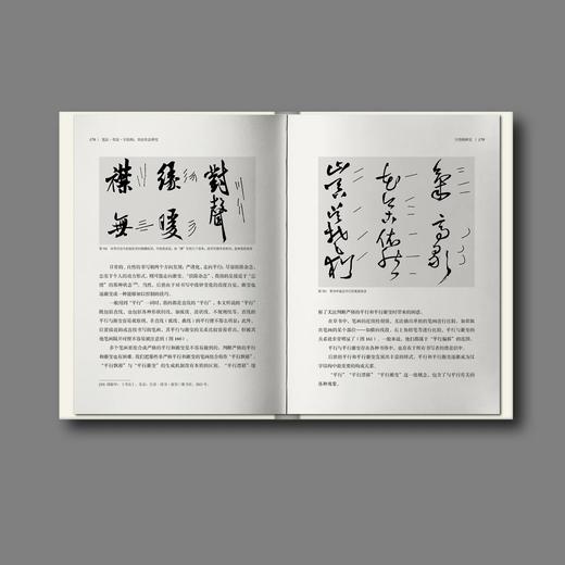 【新书现货】邱振中《笔法·章法·字结构——书法形态研究》 商品图5