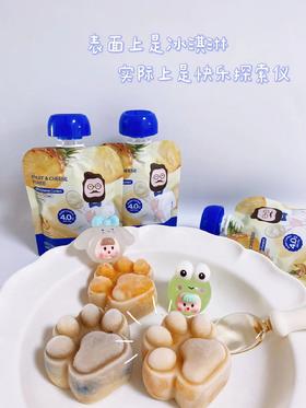 棒冰（进口水果奶酪泥版）