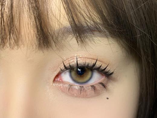 Bollycon日抛新品-Davinci达芬奇 商品图8