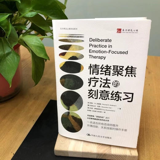 情绪聚焦疗法的刻意练习 朗达·N. 戈德曼等 著 心理学 商品图1