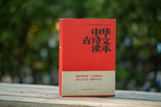 【饶宗颐等12位国学泰斗点名推荐】《中华古诗文读本》丨一站式解决孩子古诗词 商品图2