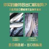【鱼香多汁】念之味 盐烤鲭鱼 700g（约6-7条） 商品缩略图8