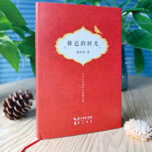《推迟的时光》谢仲成 著 商品图1