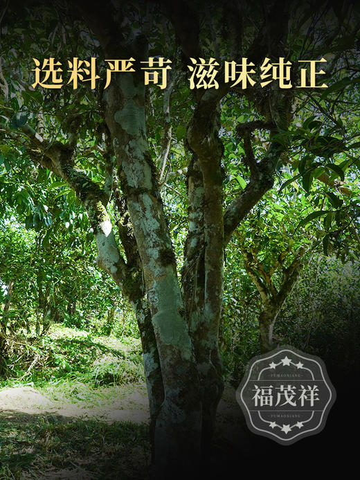 【大户赛】大户赛签约茶农共同出品 2019年头春普洱茶临沧茶区大户赛5年陈生茶 古300年纯料茶 200g饼茶 商品图3