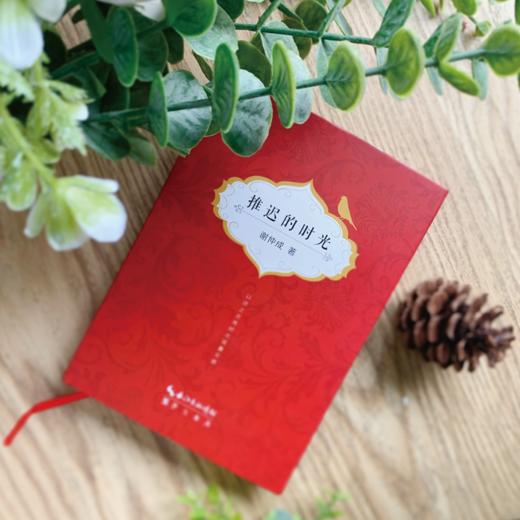 《推迟的时光》谢仲成 著 商品图3