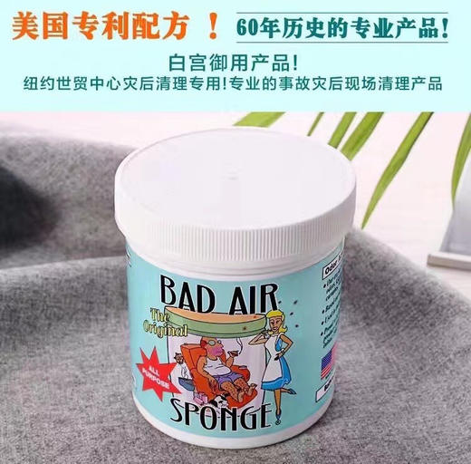 国内现货！BadAir 空气净化剂 去除甲醛异味烟味 商品图1