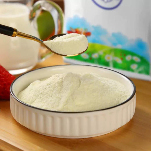柳宾斯基脱脂奶粉500g 商品图1