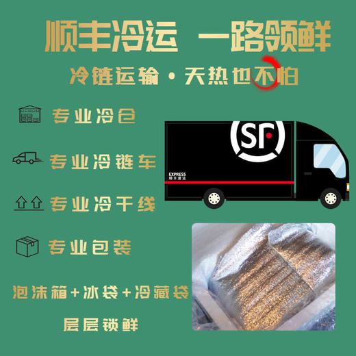 【鱼香多汁】念之味 盐烤鲭鱼 700g（约6-7条） 商品图3