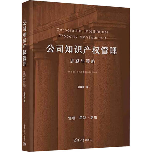 公司知识产权管理 思路与策略 商品图0