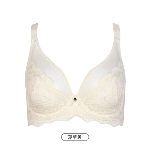 都市丽人完美包容C杯适穿蕾丝内衣超薄款3/4杯常规文胸软钢圈三排扣LB33S1 商品图11