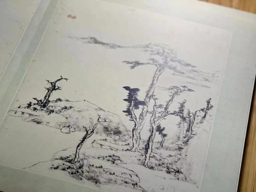 《八大山人山水册》，胡弘杰 编，绸面，经折装开本：787mm×1092mm， 6开，西泠印社出版社2023年7月一版一印。定价360，售价280元。 商品图11