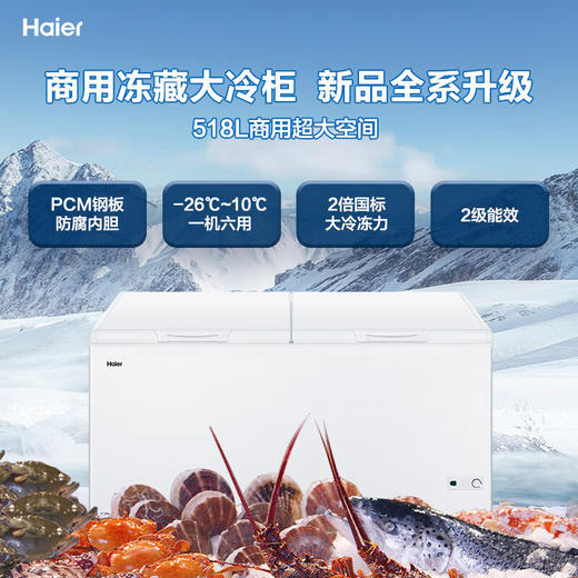 海尔（Haier）518升 卧式 商用家用 冰柜  大容量 冷藏柜 大冷冻柜 PCM钢板防腐内胆 带脚轮 BC/BD-518GHPD 商品图1