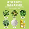 【买2送1】夏季家用驱蚊喷雾艾草叮叮驱蚊液花露水便携小瓶金银花驱蚊止痒 商品缩略图4