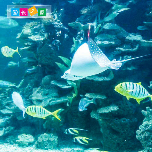 博苑研学游学【山东烟台栖霞】 商品图3