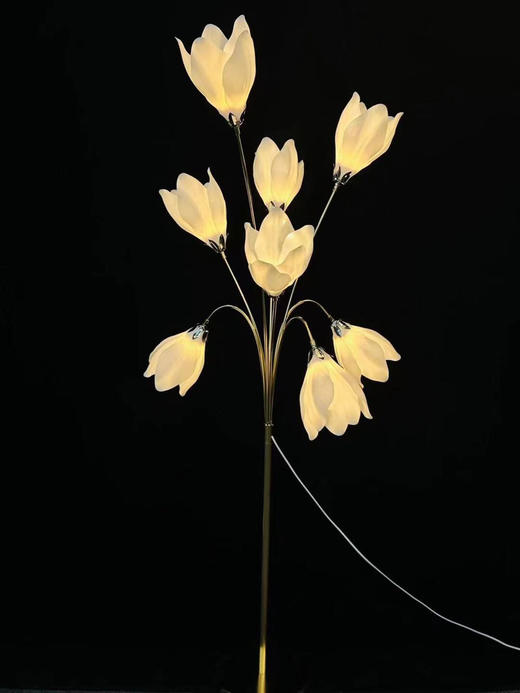 8头水仙花路引【运费自理】 商品图0