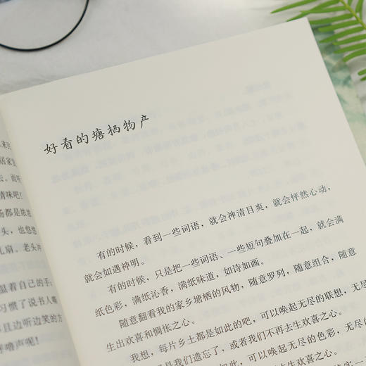 明亮的阅读 郎净老师读书随笔集 胡晓明先生作序推荐 经典阅读 商品图3