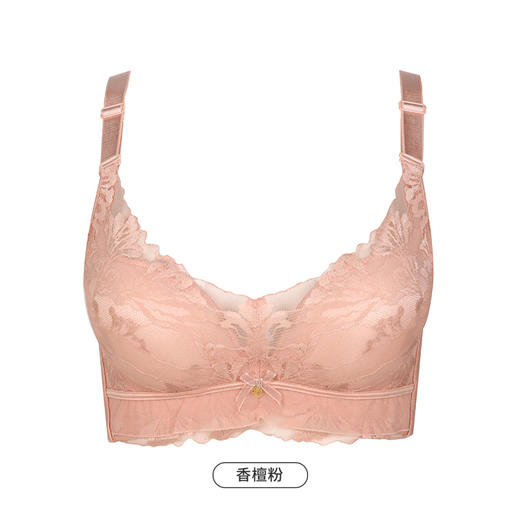 都市丽人舒软挺塑B杯适穿蕾丝调整型文胸中厚款3/4杯塑身文胸无钢圈内衣四排扣LJ34M1 商品图3