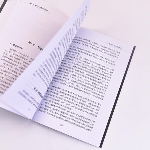 再造 数字化与数字化转型 数字化转型方案 数字引擎 企业经营管理实务 数字化营销 企业管理书籍 商品图4