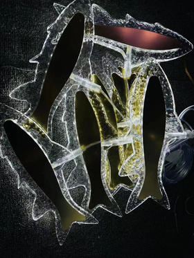 10头亚克力飞鱼【运费自理】