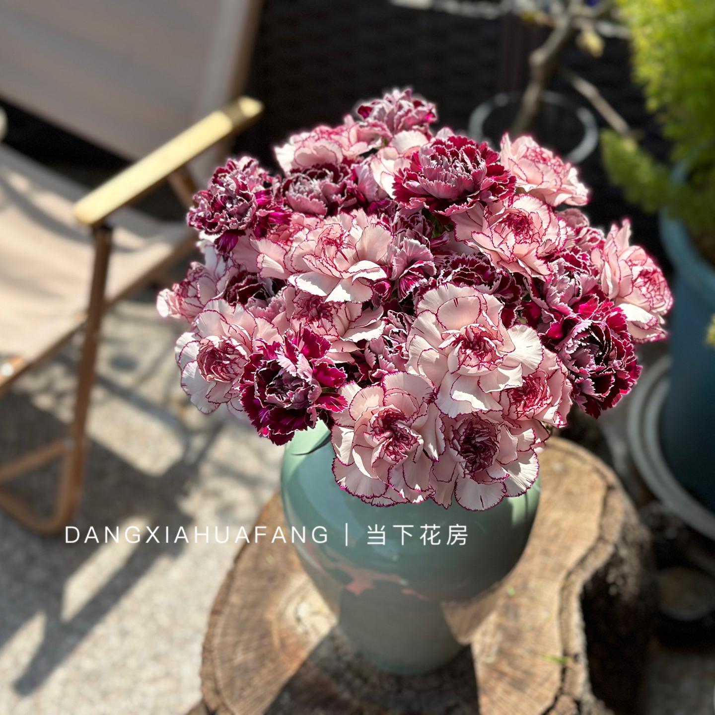 【为你写诗】紫精灵单头康乃馨10支+野马单头康乃馨10支/份（夏木设计）