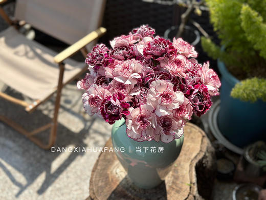 【为你写诗】紫精灵单头康乃馨10支+野马单头康乃馨10支/份（夏木设计） 商品图2